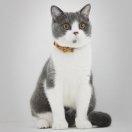 为你而来本尊的个人资料头像