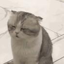 于烫头的个人资料头像