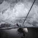 zyf_的个人资料头像