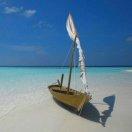 bluestone本尊的个人资料头像