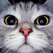 joucksHua的个人资料头像