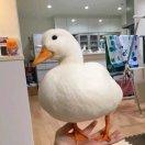 m君74954的个人资料头像