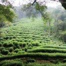 假爱学习的个人资料头像