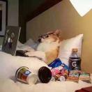 橘生淮南_chen的个人资料头像