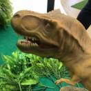 张本尊74979的个人资料头像