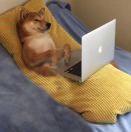 zazaWay的个人资料头像