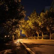 Linliangtao的个人资料头像