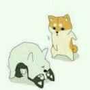 Azrael君的个人资料头像