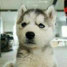 呕痘痘们呦的个人资料头像