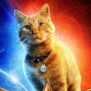 shino75128的个人资料头像