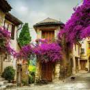 浅夏诗韵的个人资料头像