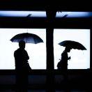 松子就是我的个人资料头像