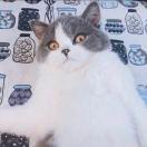 ISeeFire的个人资料头像