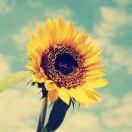 张爱杰的个人资料头像