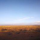 Zorro的个人资料头像