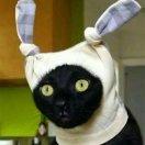 undefined的个人资料头像