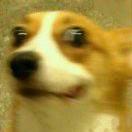 Decade君的个人资料头像