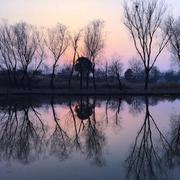 Andrewmika的个人资料头像