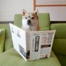 alien同志75343的个人资料头像