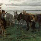 啊涛的个人资料头像