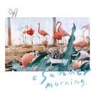 一菲君的个人资料头像