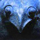 猎鹰在掘金的个人资料头像