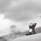 黄御寒的个人资料头像