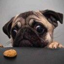 MrH酱的个人资料头像