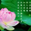 桂钰法柔的个人资料头像