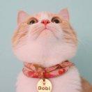 你的尘殿下的个人资料头像