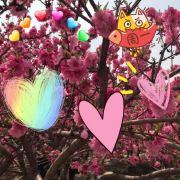 豆丫丫大馅饼的个人资料头像