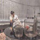 Jason天的个人资料头像