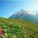 夏天酱75662的个人资料头像