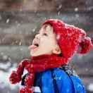 低调同志75670的个人资料头像