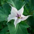 葛淑芳的个人资料头像