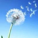 羽重名了75732的个人资料头像