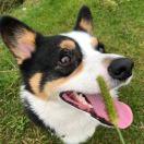 三筒的个人资料头像