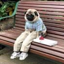 㫪的个人资料头像