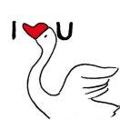 hbx的个人资料头像