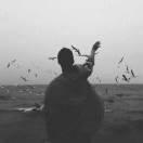 挖煤的代码猴的个人资料头像