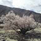 POOY75864的个人资料头像