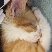 itta0618的个人资料头像