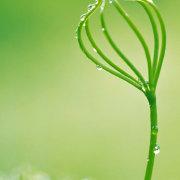 trick007的个人资料头像