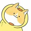 zqh75919的个人资料头像