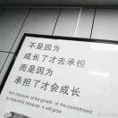 小白的进化史的个人资料头像