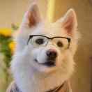 徐诺的个人资料头像