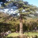 金域兰湾的个人资料头像