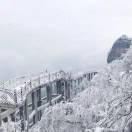 shouting的个人资料头像