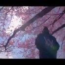 千杯敬自由的个人资料头像