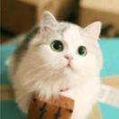 3个3的个人资料头像